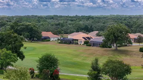 443 W Mickey Mantle Path, Hernando, FL 34442 photo 60