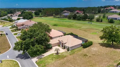 443 W Mickey Mantle Path, Hernando, FL 34442 photo 55