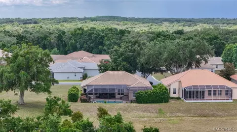 443 W Mickey Mantle Path, Hernando, FL 34442 photo 58