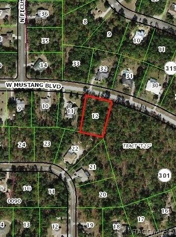 3014 W Mustang Blvd, Beverly Hills, FL 34465