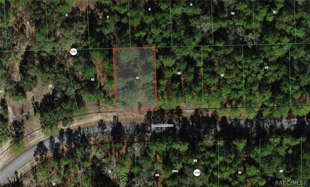 945 W Bannister Dr, Dunnellon, FL 34434