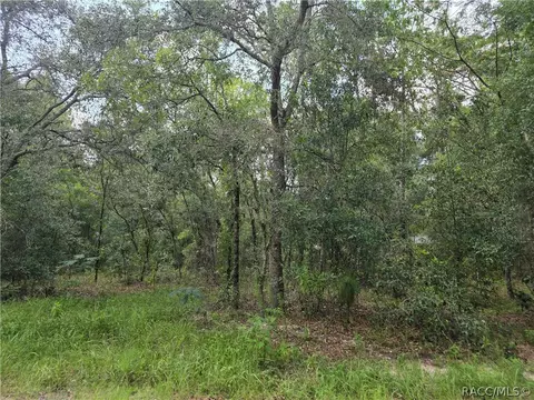 3211 E Millside Ln, Inverness, FL 34453