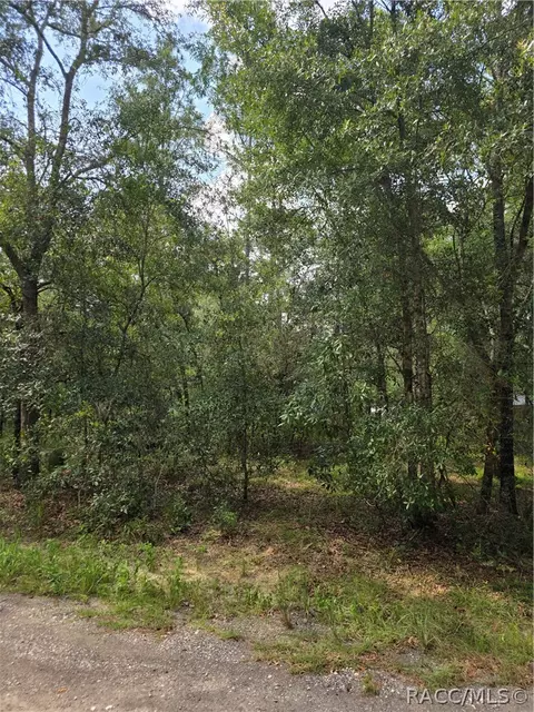 3211 E Millside Ln, Inverness, FL 34453 photo 7