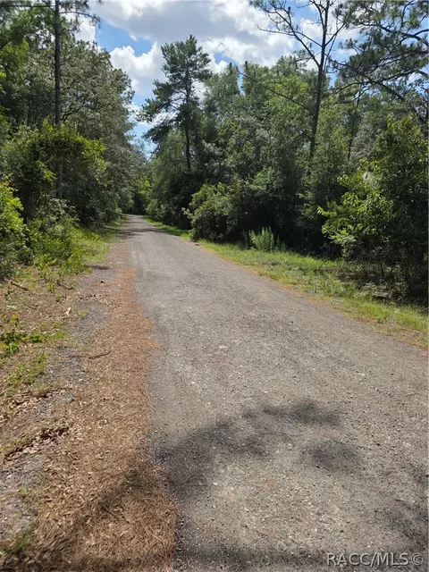 3211 E Millside Ln, Inverness, FL 34453 photo 5