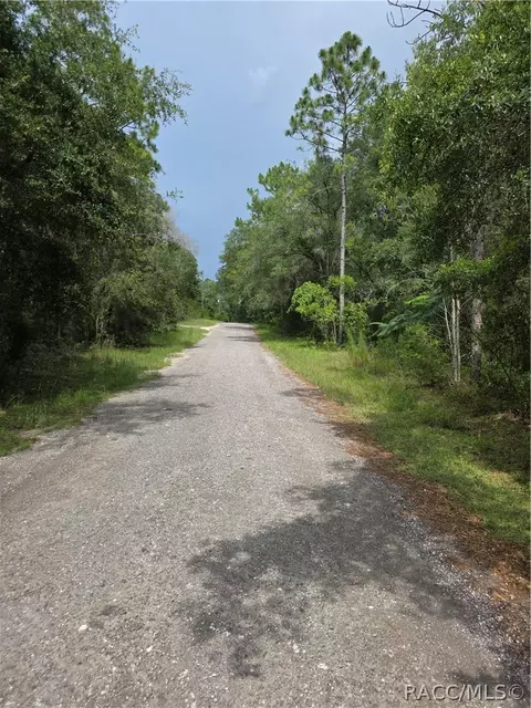 3211 E Millside Ln, Inverness, FL 34453 photo 8