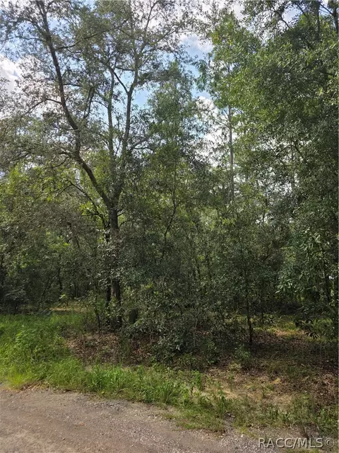 3211 E Millside Ln, Inverness, FL 34453 photo 4