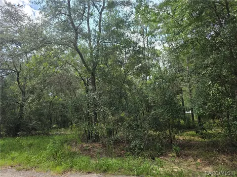 3211 E Millside Ln, Inverness, FL 34453