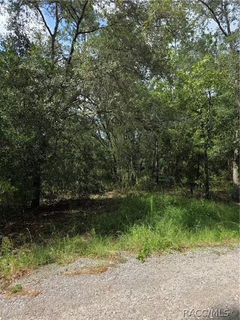 3211 E Millside Ln, Inverness, FL 34453 photo 6