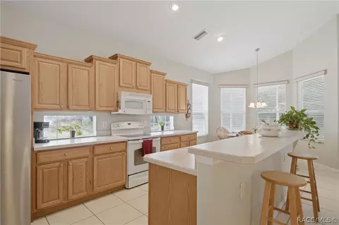 165 W Doerr Path, Hernando, FL 34442 photo 13