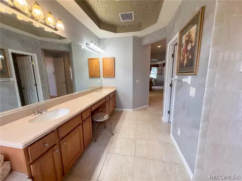 Bath - 286 W Redsox Path, Hernando, FL 34442 photo 4 of 10
