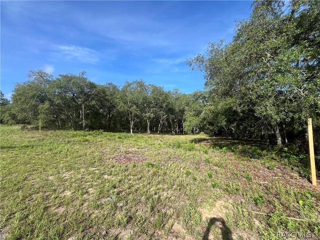 6990 N Lime Dr, Citrus Springs, FL 34433