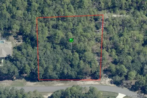 5117 N Wayne Dr, Beverly Hills, FL 34465