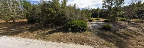 33240 Tombstone St, Webster, FL 33597 photo 4