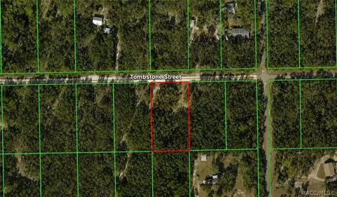 33240 Tombstone St, Webster, FL 33597 photo 2