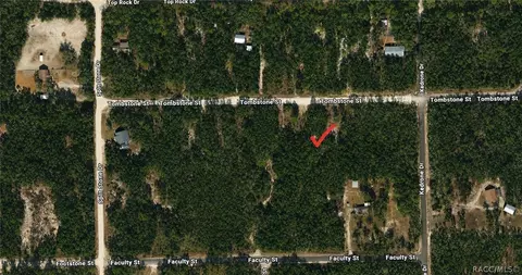 33240 Tombstone St, Webster, FL 33597 photo 1