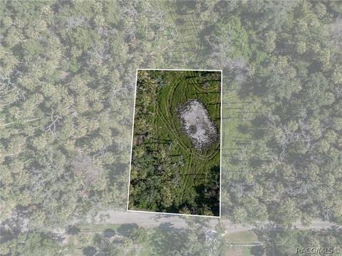 12207 W Gulf Breeze Ct, Crystal River, FL 34429