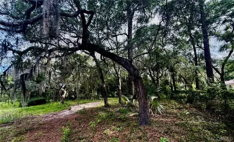Other - 271 Hudson St, Inglis, FL 34449 photo 1 of 11