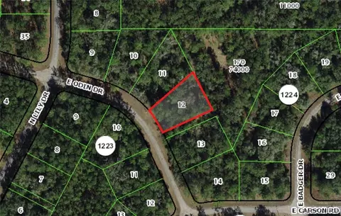 1455 E Odin Dr, Dunnellon, FL 34434