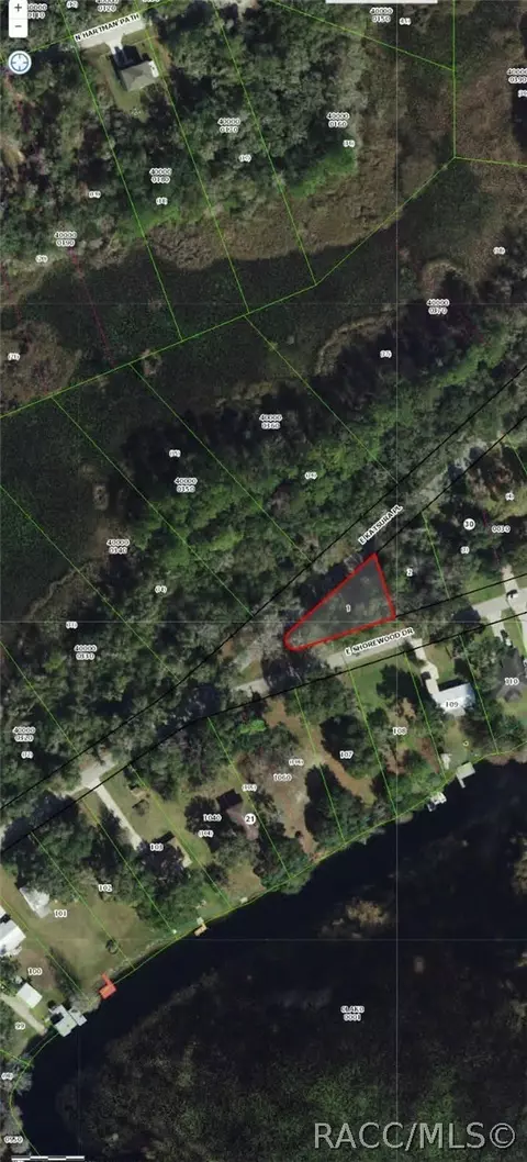 4381 E Shorewood Dr, Hernando, FL 34442 photo 2