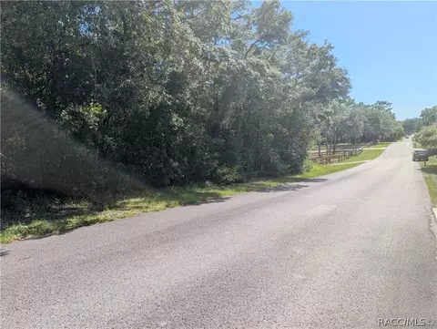 1180 E Cleveland St, Hernando, FL 34442 photo 4