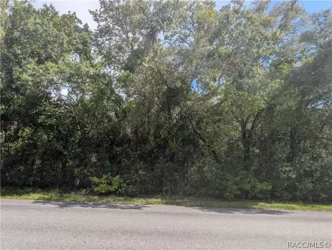 1180 E Cleveland St, Hernando, FL 34442 photo 3