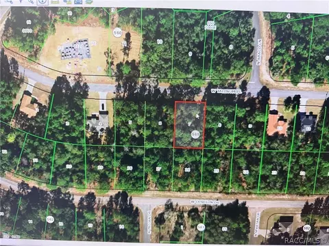 3328 W Talinum Pl, Citrus Springs, FL 34433