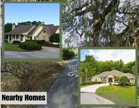 0 Shane Court Ct, Saint Augustine, FL 32092 photo 3