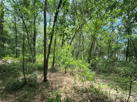 4855 N Highland Park Dr, Hernando, FL 34442 photo 9