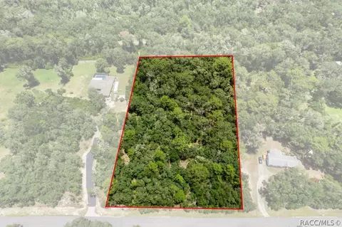 4855 N Highland Park Dr, Hernando, FL 34442 photo 8