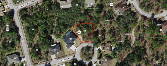 7 Pepper Ct, Homosassa, FL 34446