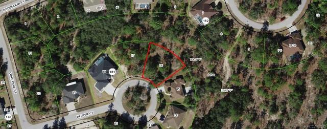 9 Pepper Ct, Homosassa, FL 34446