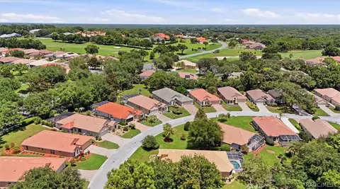 View/Area - 1683 N Shadowview Path, Hernando, FL 34442 photo 5 of 7