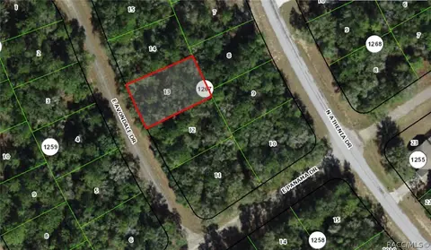 515 E Avondale Dr, Dunnellon, FL 34434 photo 1