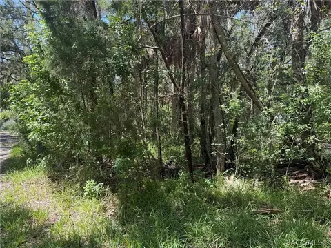 1114 S Urchin Pt, Crystal River, FL 34429 photo 17