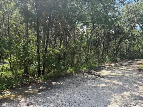 1114 S Urchin Pt, Crystal River, FL 34429 photo 16
