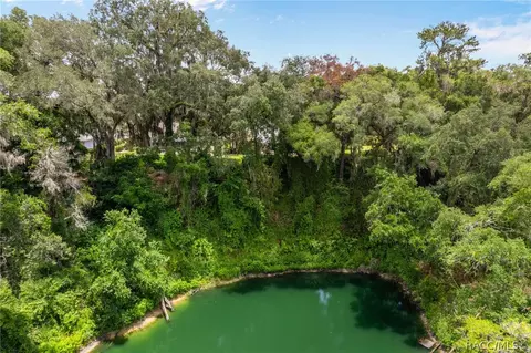 View/Area - 3116 N Stratham Pt, Hernando, FL 34442 photo 3 of 4