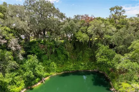 View/Area - 3116 N Stratham Pt, Hernando, FL 34442 photo 3 of 5