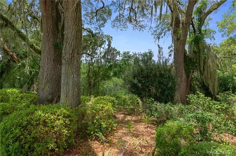 Exterior - 3116 N Stratham Pt, Hernando, FL 34442 photo 11 of 15