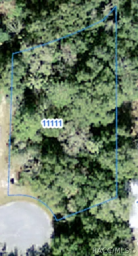 11111 W Samson Ln, Crystal River, FL 34428 photo 2