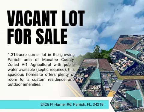 2426 Fort Hamer Rd, Parrish, FL 34219 photo 17