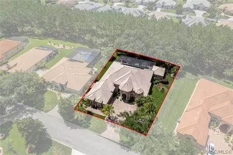View/Area - 1202 W Beagle Run Loop, Hernando, FL 34442 photo 3 of 10