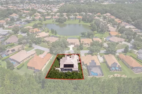 View/Area - 1202 W Beagle Run Loop, Hernando, FL 34442 photo 4 of 10