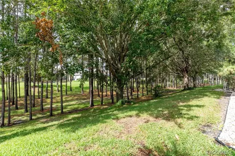 Exterior - 1202 W Beagle Run Loop, Hernando, FL 34442 photo 18 of 26