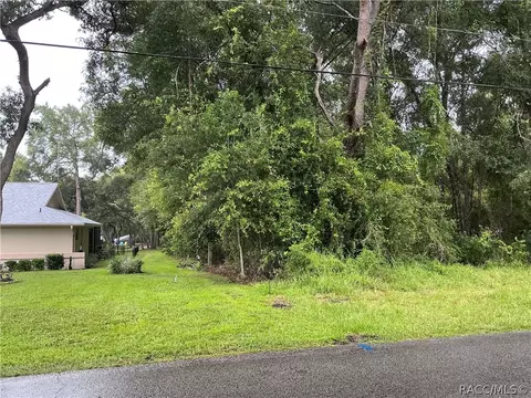 1235 E Bismark St, Hernando, FL 34442 photo 6