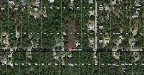1235 E Bismark St, Hernando, FL 34442 photo 2