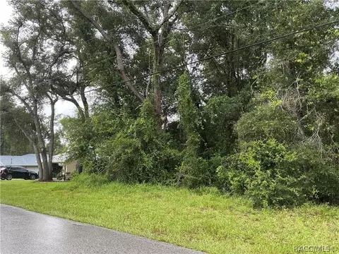 1235 E Bismark St, Hernando, FL 34442 photo 3