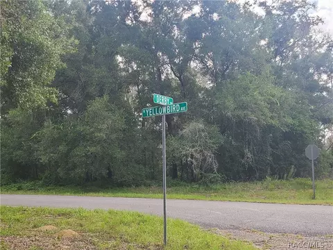 1823 E Derby Dr, Dunnellon, FL 34434 photo 2