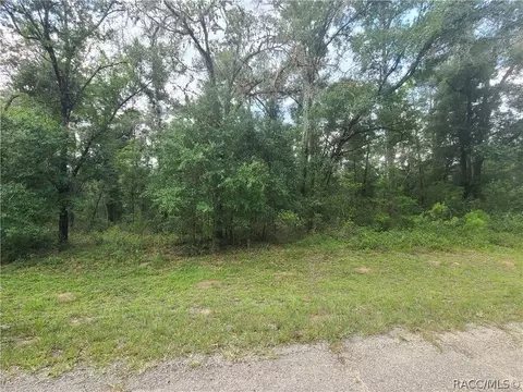 1823 E Derby Dr, Dunnellon, FL 34434 photo 3
