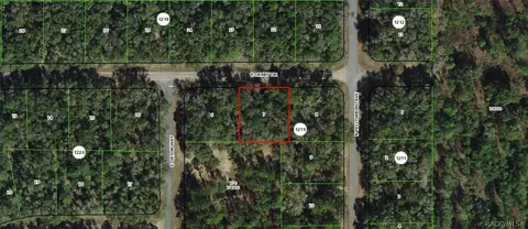 1823 E Derby Dr, Dunnellon, FL 34434
