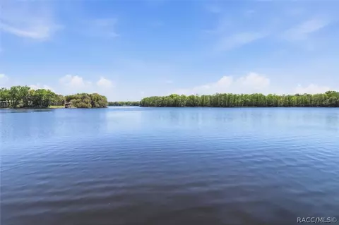 View/Area - 8810 E Hampton Point Rd, Inverness, FL 34450 photo 6 of 6